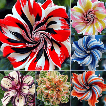 ⏰Limited Stock Flash Sale – Grab Yours Now!🌺2026 Rare Double Hibiscus Seeds | Massive Ruffled Blooms